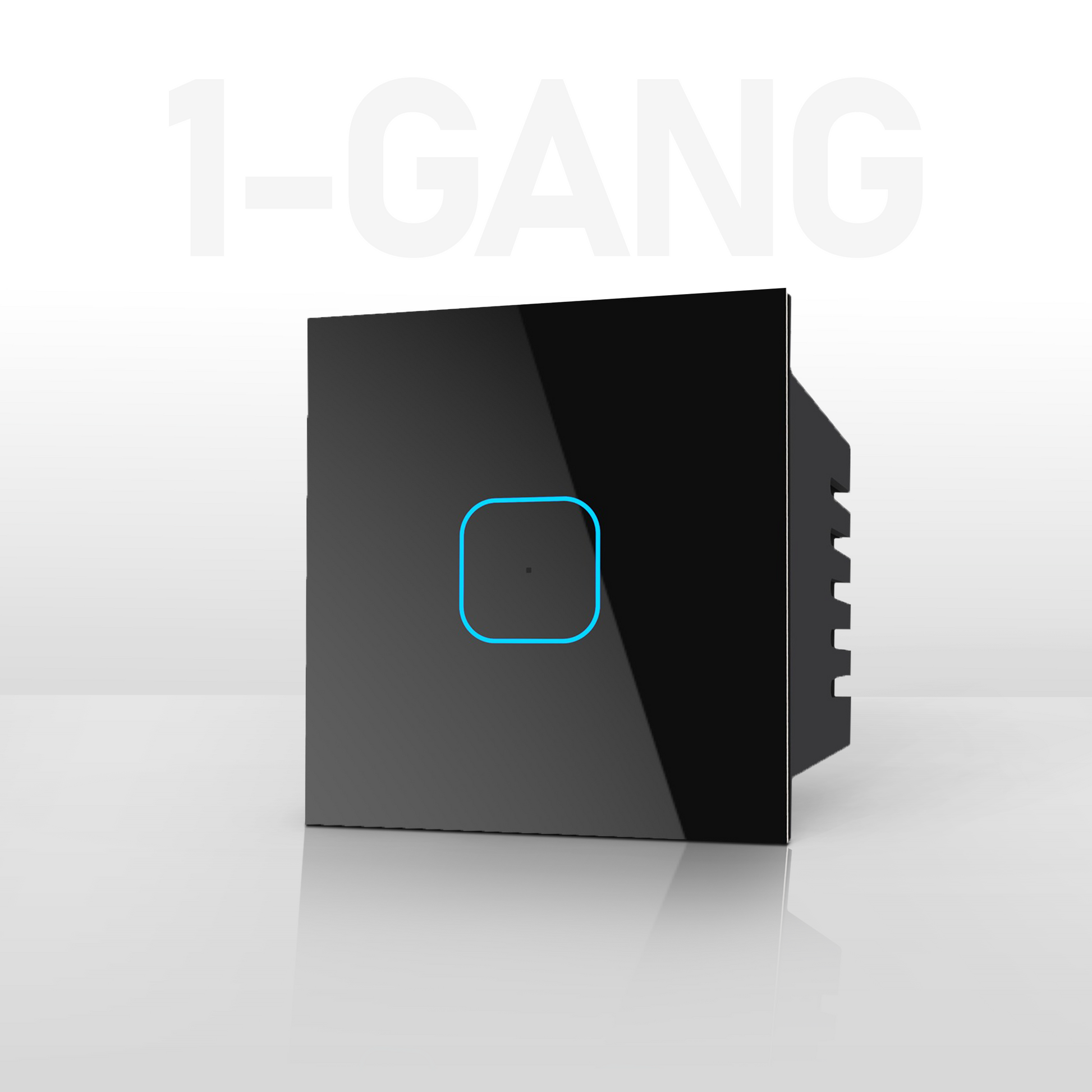1 Gang Smart Touch Switch