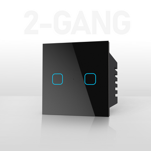 2 Gang Smart Touch Switch