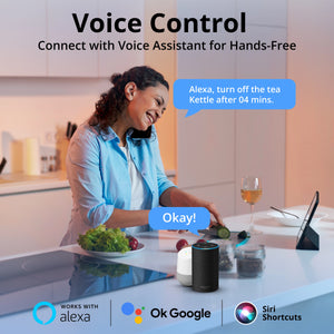 Smart Plug Socket 10A